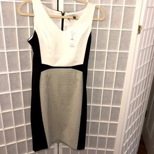 The white house black market size 2P